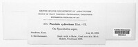 Image Associated With the Occurence